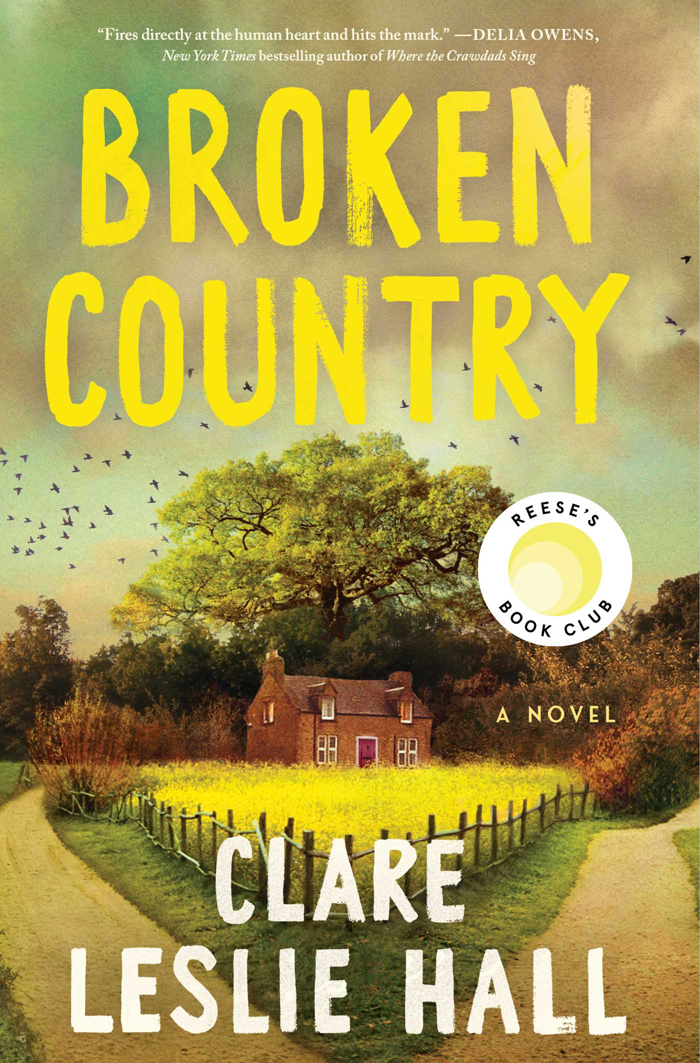 Broken Country by Clare Leslie Hall
 – Book Review